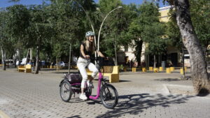 triciclo eléctrico para mascotas