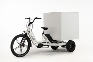 triciclo eléctrico BKL PRO 750